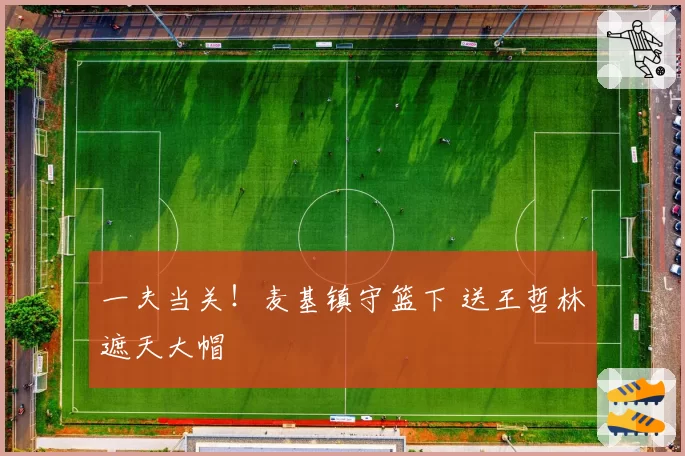 一夫当关!麦基镇守篮下 送王哲林遮天大帽