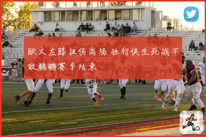 欧文左膝扭伤离场 独行侠生死战不敌鹈鹕赛季结束