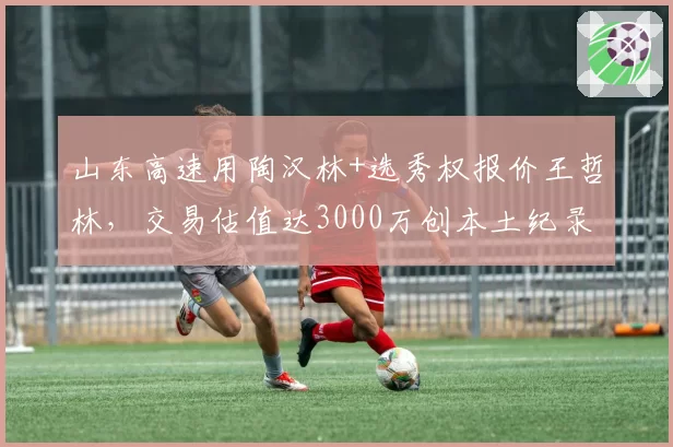 山东高速用陶汉林+选秀权报价王哲林，交易估值达3000万创本土纪录