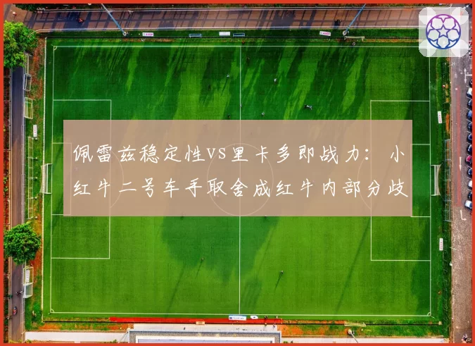 佩雷兹稳定性vs里卡多即战力：小红牛二号车手取舍成红牛内部分歧焦点